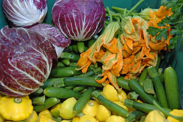garden-vegetables_organic-market